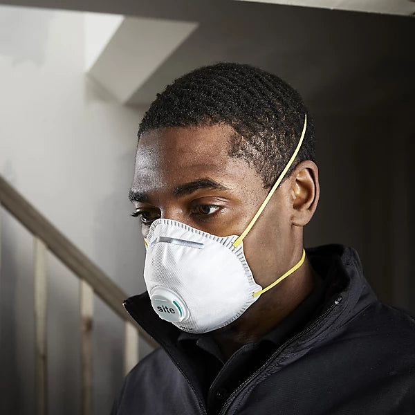 Disposable dust mask with value